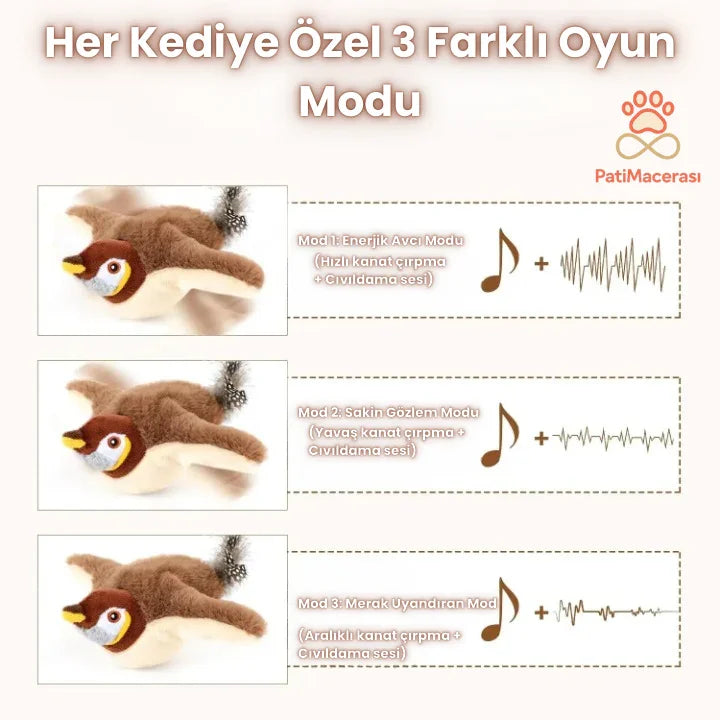 PatiMacerası™ Cıvıldayan & Kanat Çırpan Avcı Kuş Oyuncağı