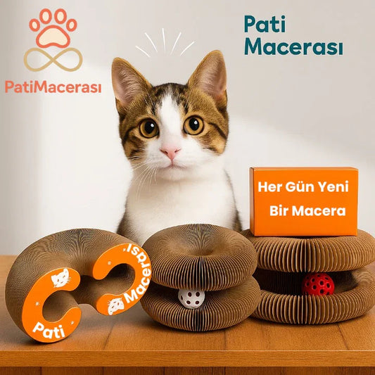 PatiMacerası™ Akıllı Kedi Tırmalama Oyuncağı ve Yatağı