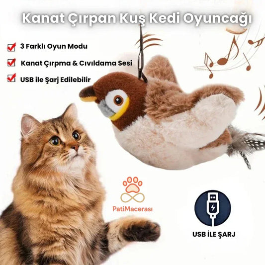 PatiMacerası™ Cıvıldayan & Kanat Çırpan Avcı Kuş Oyuncağı