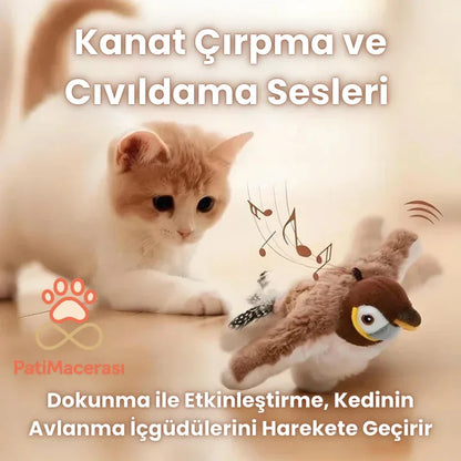 PatiMacerası™ Cıvıldayan & Kanat Çırpan Avcı Kuş Oyuncağı