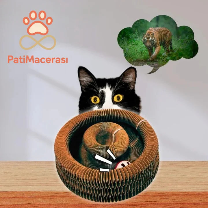 PatiMacerası™ Akıllı Kedi Tırmalama Oyuncağı ve Yatağı