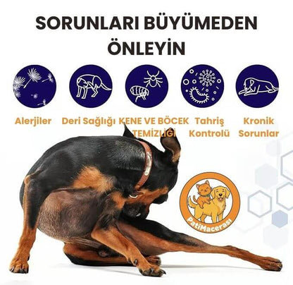 PatiMacerası™ Deri Sağlığını Destekleyen Masaj Etkili Tüy Tarağı