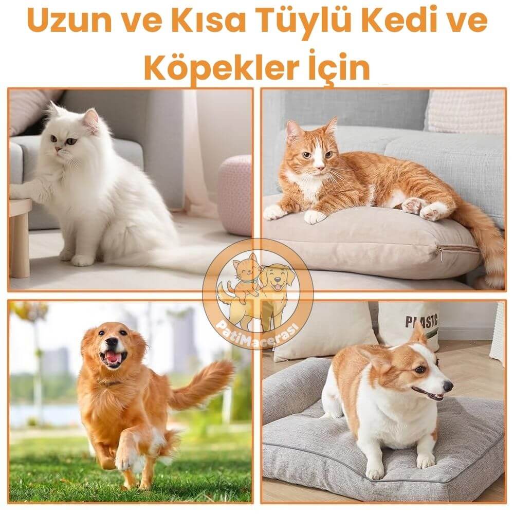 PatiMacerası™ 3’ü 1 Arada Buharlı Pet Spa Tarağı