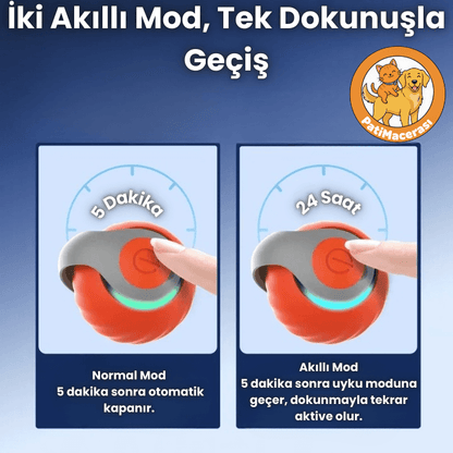 PatiMacerası™ ZıpZıp Akıllı Kedi Topu (Otomatik & Şarj Edilebilir)