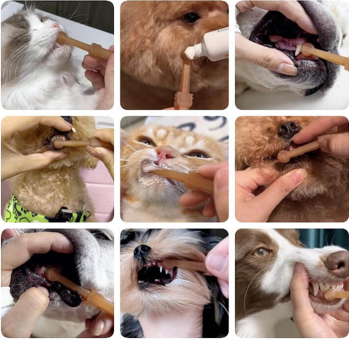 PatiMacerası™ İnci Dişler: Hassas Silikon Bakım Seti (2'li Kutu & 360° Temizlik)