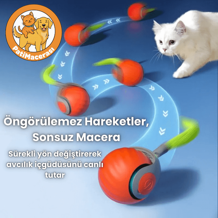 PatiMacerası™ ZıpZıp Akıllı Kedi Topu (Otomatik & Şarj Edilebilir)