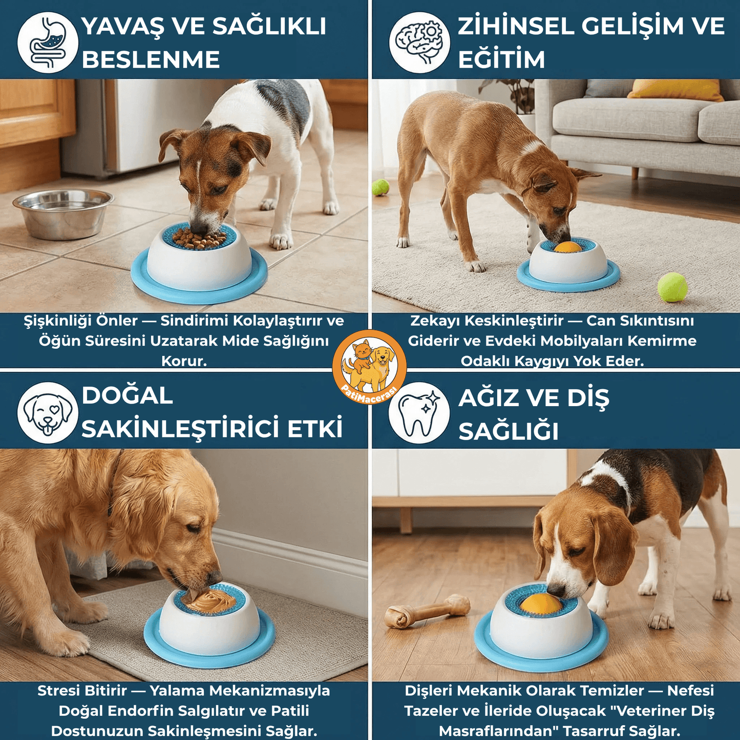PatiMacerası™ ZenBesle: Huzur İstasyonu