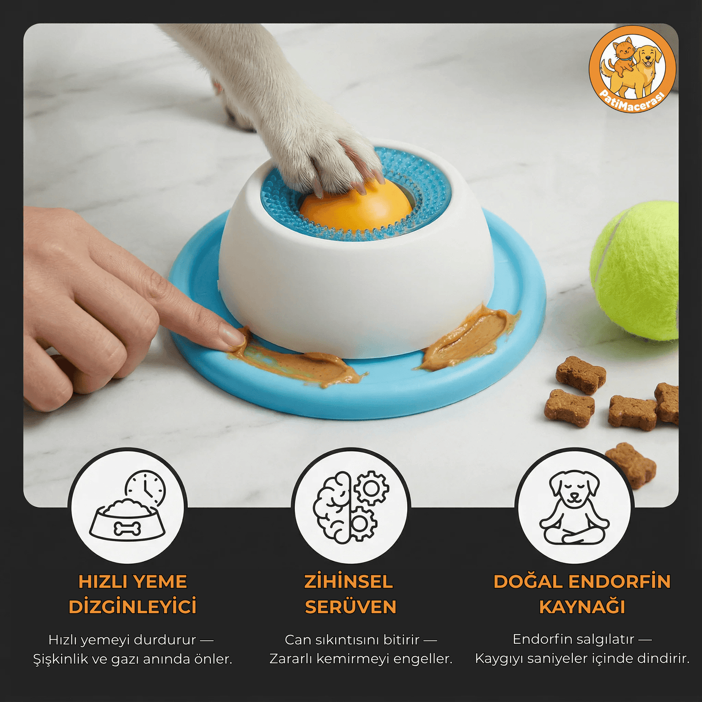 PatiMacerası™ ZenBesle: Huzur İstasyonu