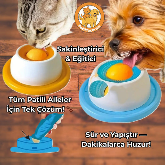 PatiMacerası™ ZenBesle: Huzur İstasyonu