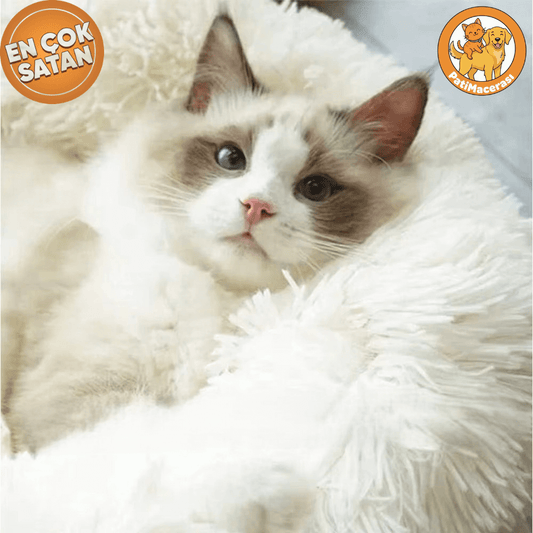 Patimacerası™ Soft: Sakinleştirici Kedi Yatağı