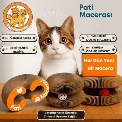 Akıllı Kedi Tırmalama Oyuncağı ve Yatağı | PatiMacerası