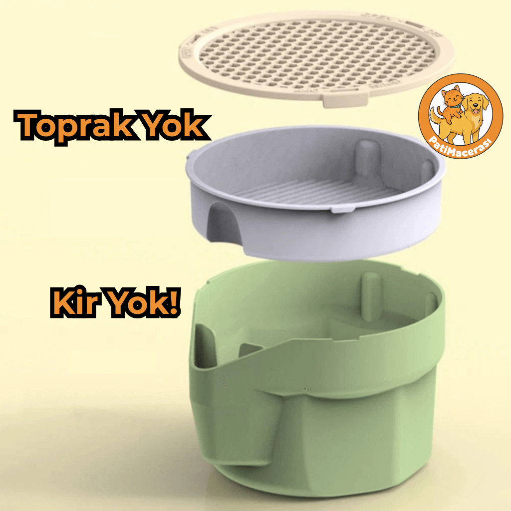 PatiMacerası™ Taze Nefes Bahçesi (Topraksız Akıllı Çim İstasyonu)