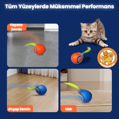 PatiMacerası™ ZıpZıp Akıllı Kedi Topu (Otomatik & Şarj Edilebilir)