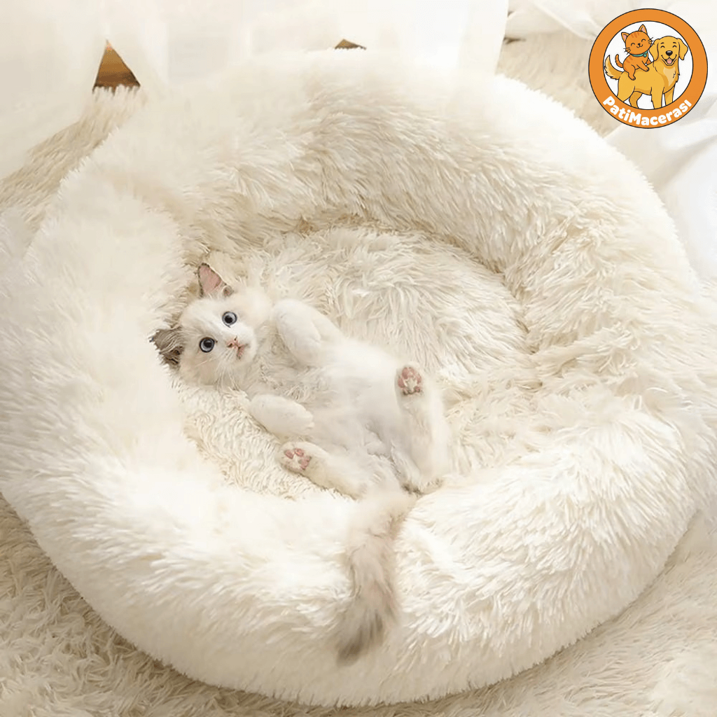 Patimacerası™ Soft: Sakinleştirici Kedi Yatağı